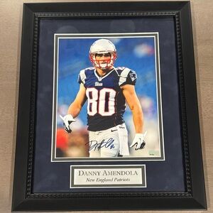 Danny Amendola 11x14 Autographed Framed Picture